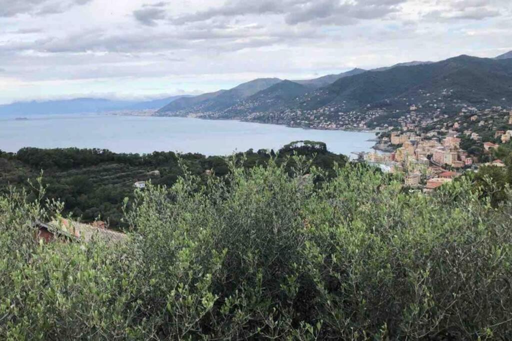 Apartament Acqua Marina Camogli Zewnętrze zdjęcie